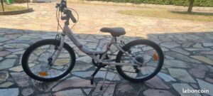 comparer-le-bon-coin-velo-electrique-avis-et-prix-dans-la-region-de-saint-martin-dheres-velos-electriques-au-meilleur-prix