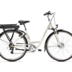 comparez-les-prix-et-economisez-velo-electrique-peugeot-avis-et-prix-dans-la-region-de-fontenay-le-comte-site-pour-achat-de-velos-electriques