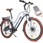 ou-acheter-en-ligne-bluewheel-velo-electrique-avis-et-prix-dans-la-region-de-obernai-boutique-de-velos-electrique