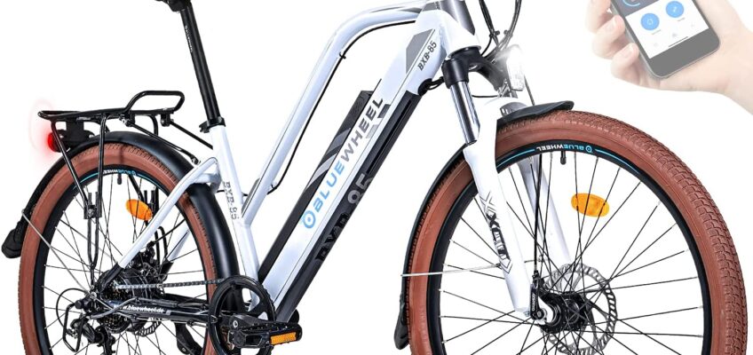 Où acheter en ligne Bluewheel Vélo électrique Avis et Prix dans la région de OBERNAI Boutique de vélos électrique