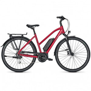 ou-trouver-velo-electrique-lyon-avis-et-prix-autour-de-livron-sur-drome-magasin-de-vae-en-ligne
