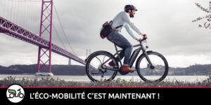 ou-trouver-velo-giant-electrique-avis-et-prix-vers-chatenoy-le-royal-velos-electrique-velos-a-assistance