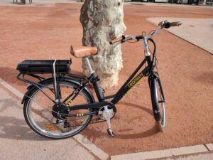 produits-pas-chers-velo-electrique-lyon-avis-et-prix-autour-de-saint-martin-dheres-articles-pour-vae