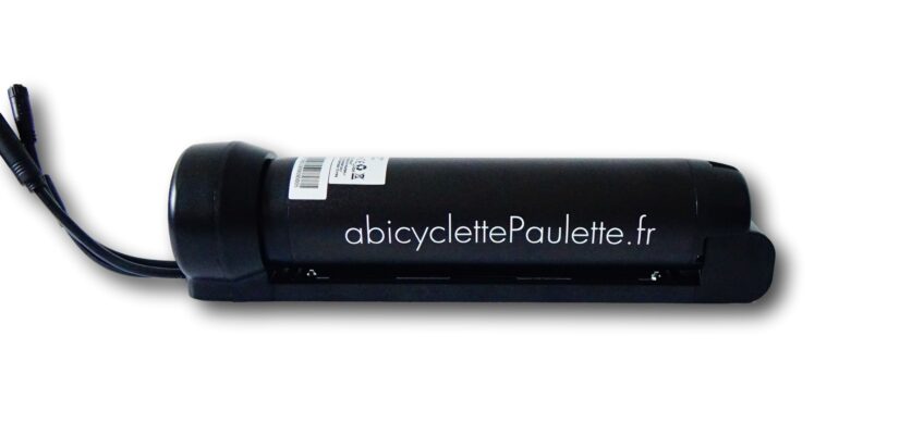 Acheter batterie velo electrique 36v Avis et Prix à Mâcon : Vélos à prix mini