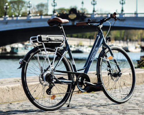 Comparer velo electrique wayscral Avis et Prix à Agen : Spécialiste du VAE