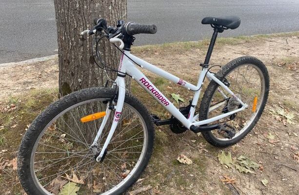 Comparaison le bon coin velo electrique Avis et Prix à Saint-Herblain Promos Amazon