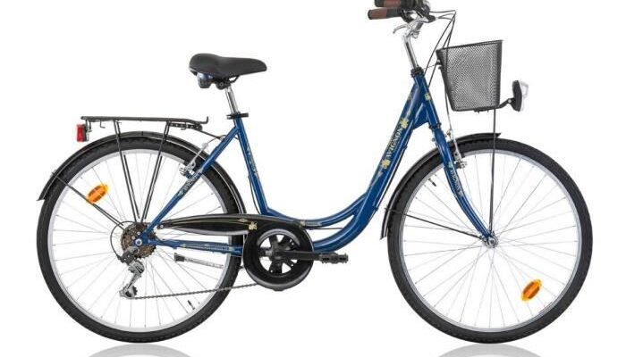 Comparer les prix velo hollandais electrique Avis et Prix proche Avignon - Equipement Vélo pas cher