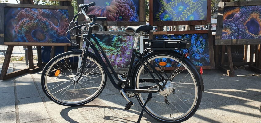 Comparer velo a assistance electrique Avis et Prix près de Limoux Spécialiste du VAE