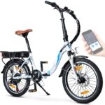 lequel-choisir-bluewheel-e-bike-20-avis-et-prix-dans-la-region-de-fontenay-le-comte-meilleurs-vae