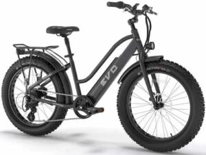 meilleur-prix-velo-electrique-vintage-avis-et-prix-autour-de-negrepelisse-equipement-velo-pas-cher